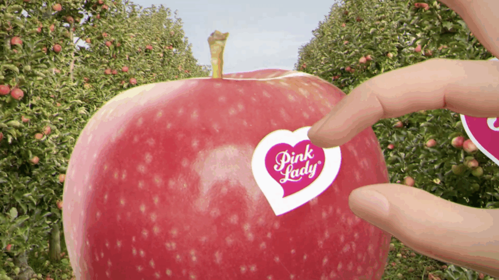 Capture d’écran 2025-10-09 à 16.51.50